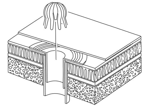 Leafguard installation illustration